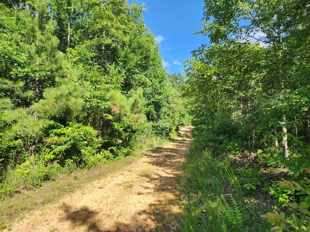 0 Sinking Creek Rd, Linden, TN 37096