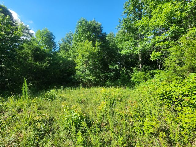 0 Sinking Creek Rd, Linden, TN 37096