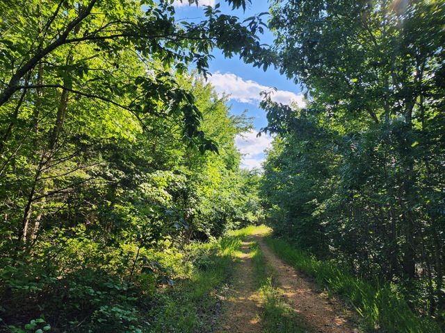 0 Sinking Creek Rd, Linden, TN 37096