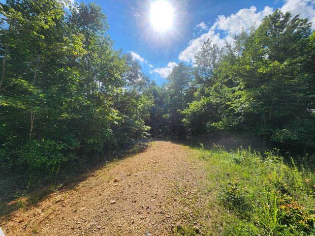 0 Sinking Creek Rd, Linden, TN 37096
