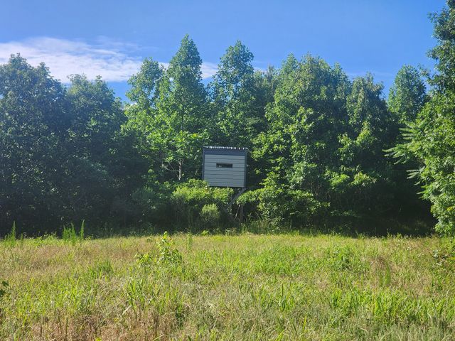 0 Sinking Creek Rd, Linden, TN 37096