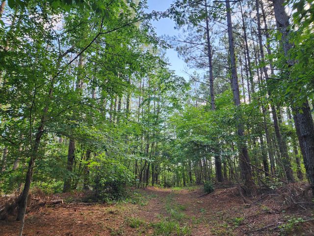0 Sinking Creek Rd, Linden, TN 37096
