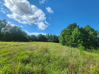 0 Sinking Creek Rd, Linden, TN 37096