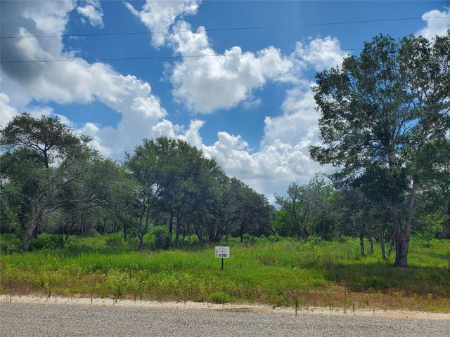 TBD Specklebelly Lane Lot 252, Columbus, TX 78934