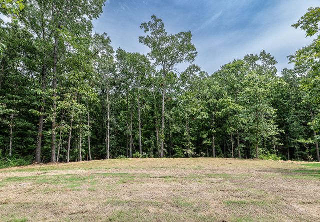 13 St Asaph Drive, Bella Vista, AR 72714