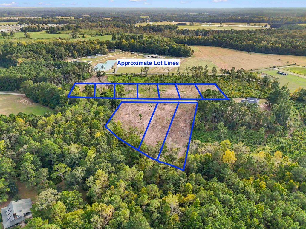 TBD Cane Branch Church Rd., Conway, SC 29527 — photo 3