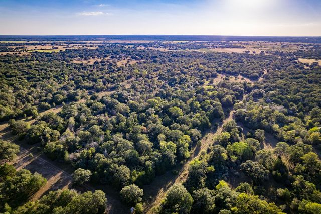 1625 Shaws Bend Road, Columbus, TX 78934