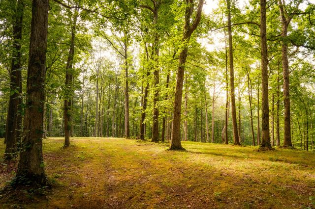 1 Peach Hollow Rd, Franklin, TN 37064