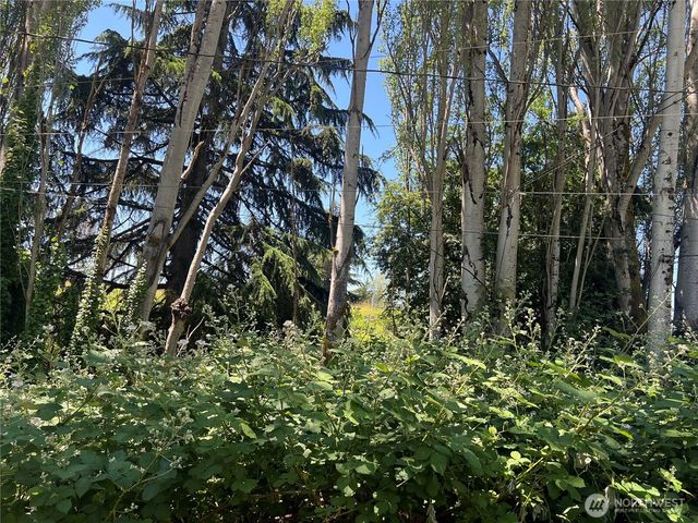 79 XX Military Road S, Seattle, WA 98108