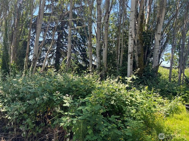 79 XX Military Road S, Seattle, WA 98108