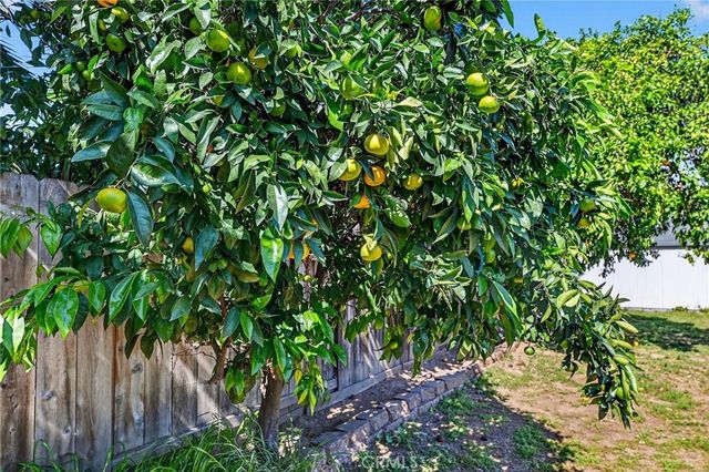 138 Terrace Ln, San Marcos, CA 92069