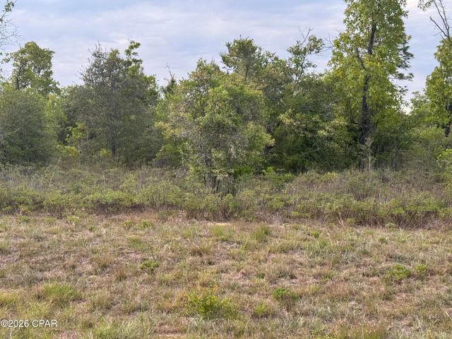 0000 Cranston Court, Chipley, FL 32428