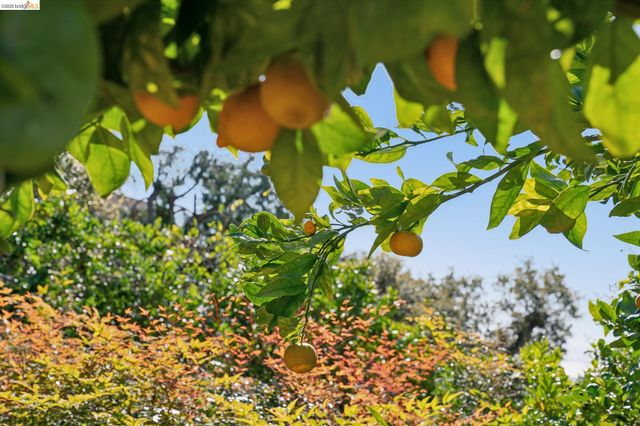 6411 Snake Road, Oakland, CA 94611