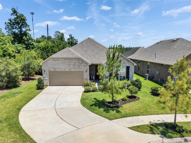223 Spotted Saddle Court Court, The Woodlands, TX 77382