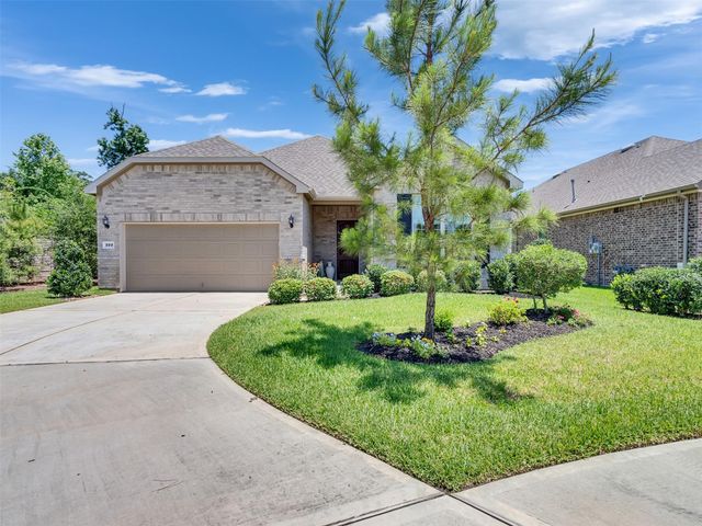 223 Spotted Saddle Court Court, The Woodlands, TX 77382
