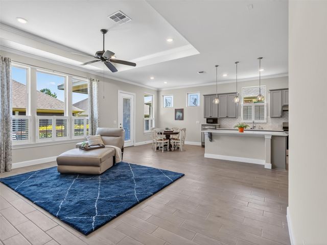 223 Spotted Saddle Court Court, The Woodlands, TX 77382
