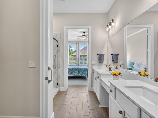 223 Spotted Saddle Court Court, The Woodlands, TX 77382