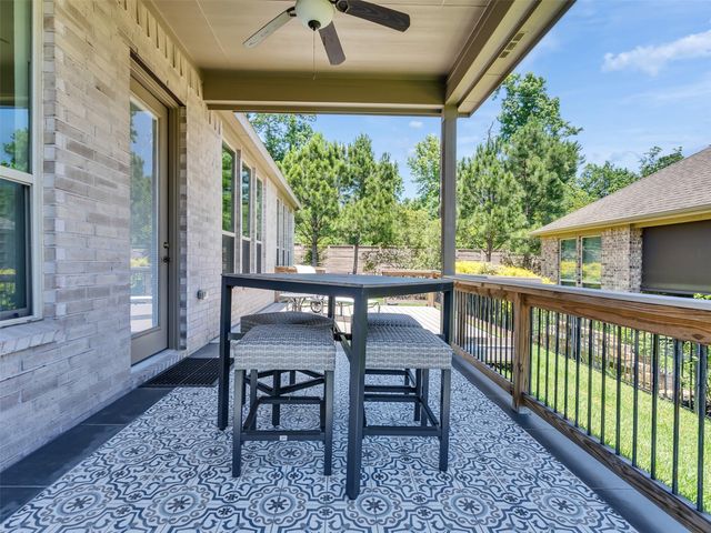 223 Spotted Saddle Court Court, The Woodlands, TX 77382