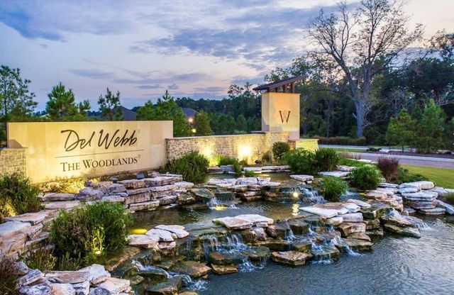 223 Spotted Saddle Court Court, The Woodlands, TX 77382