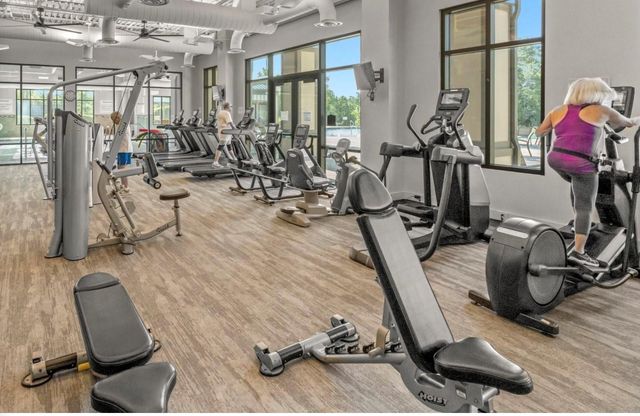 223 Spotted Saddle Court Court, The Woodlands, TX 77382