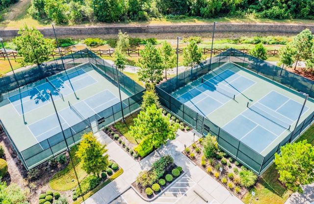 223 Spotted Saddle Court Court, The Woodlands, TX 77382