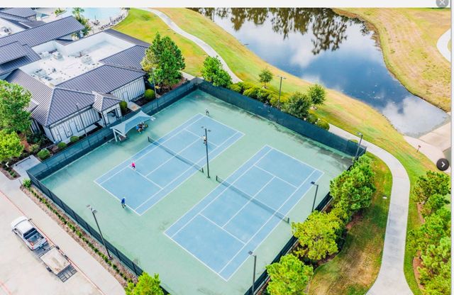 223 Spotted Saddle Court Court, The Woodlands, TX 77382