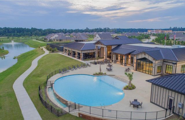 223 Spotted Saddle Court Court, The Woodlands, TX 77382