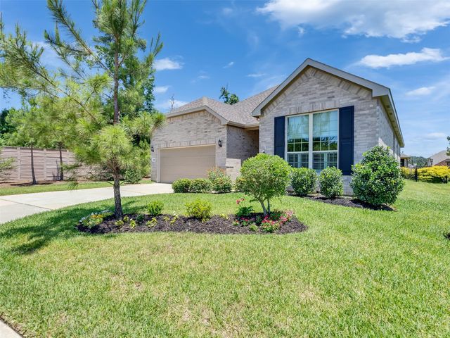 223 Spotted Saddle Court Court, The Woodlands, TX 77382