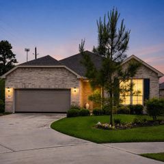 223 Spotted Saddle Court Court, The Woodlands, TX 77382