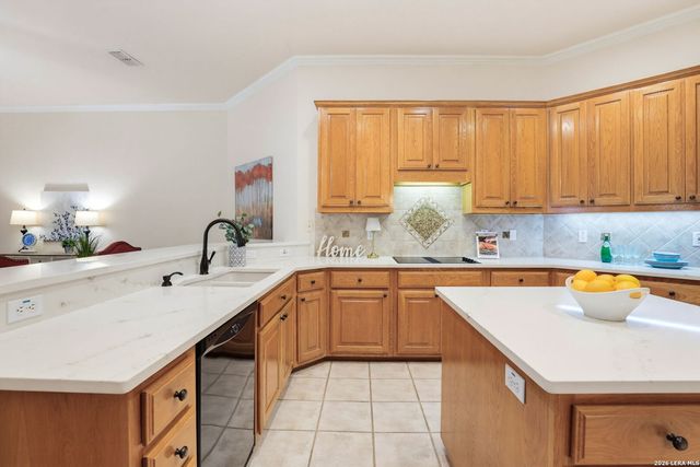 20914 Cactus Loop, San Antonio, TX 78258