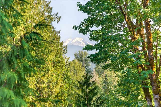 11062 Whistler Lane, Deming, WA 98244