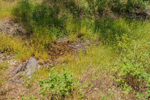 4043 Highway 49, Mokelumne Hill, CA 95245