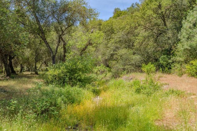 4043 Highway 49, Mokelumne Hill, CA 95245