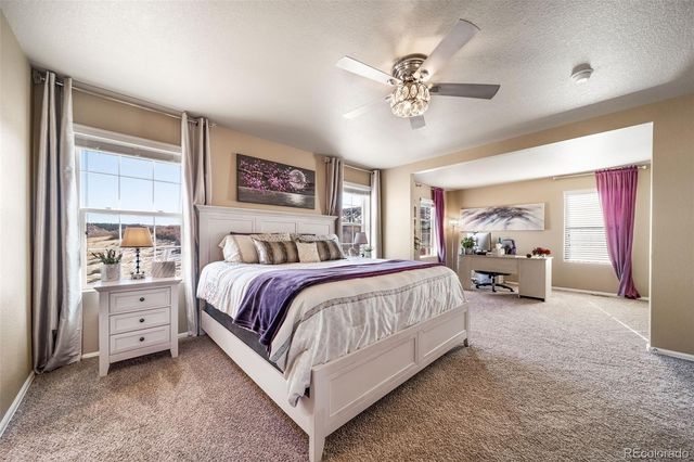 2042 Shadow Creek Drive, Castle Rock, CO 80104