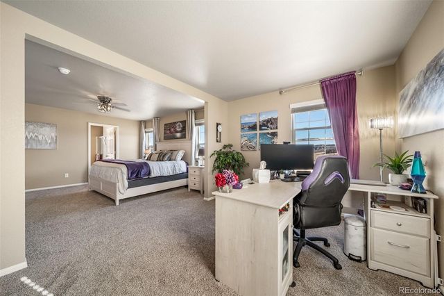 2042 Shadow Creek Drive, Castle Rock, CO 80104