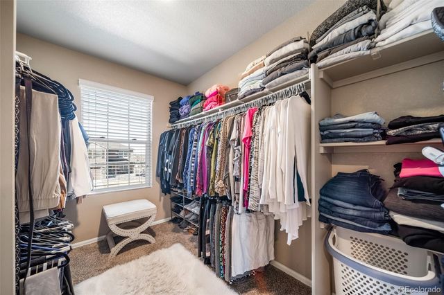 2042 Shadow Creek Drive, Castle Rock, CO 80104