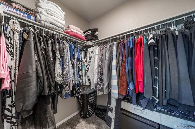 2042 Shadow Creek Drive, Castle Rock, CO 80104