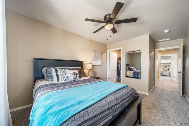 2042 Shadow Creek Drive, Castle Rock, CO 80104