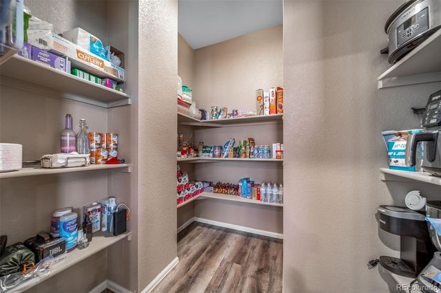 2042 Shadow Creek Drive, Castle Rock, CO 80104