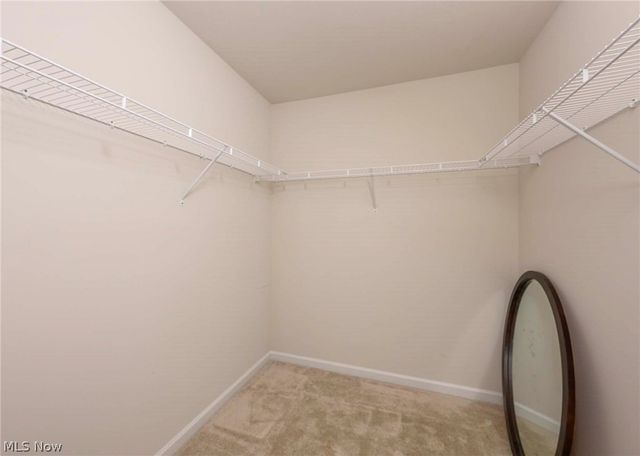 1422 Wood Fern Drive, Akron, OH 44312