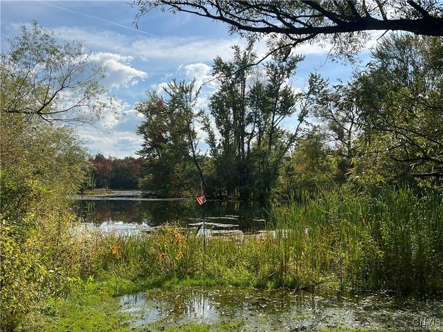 1720 Little York Crossing Road, Homer, NY 13077