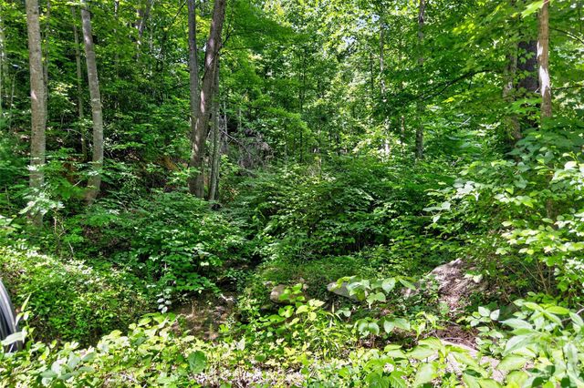 213 Mitchell View N 213MV, Old Fort, NC 28762