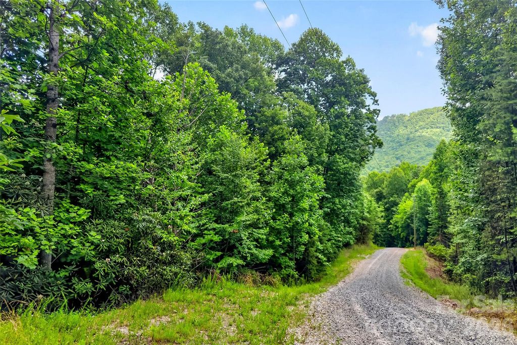 213 Mitchell View N 213MV, Old Fort, NC 28762
