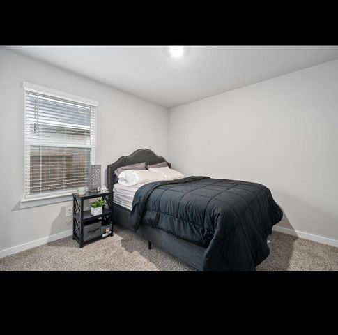 12817 Tokenhouse Lane, Houston, TX 77047