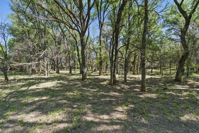1359 CR 195, Gorman, TX 76454