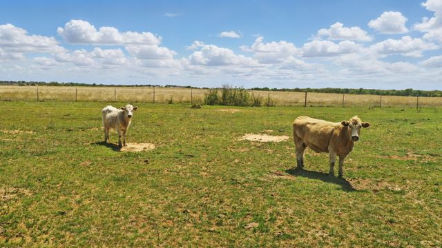 1359 CR 195, Gorman, TX 76454