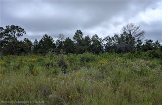 109 Falcon Court NW, Lake Placid, FL 33852