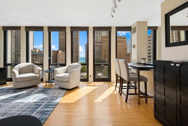 1 E Scott Street 1003, Chicago, IL 60610