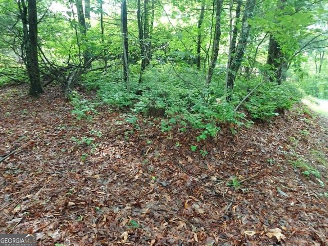 0 LOT 3 Jiminy Peak, Sky Valley, GA 30537