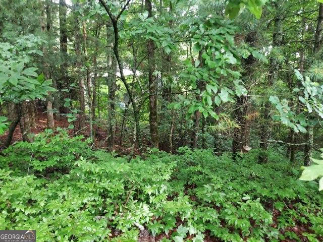 0 LOT 3 Jiminy Peak, Sky Valley, GA 30537